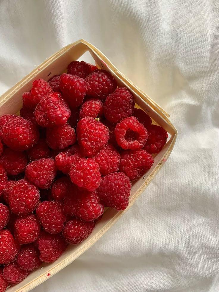 Berry Bounty: Freshness from the Fields